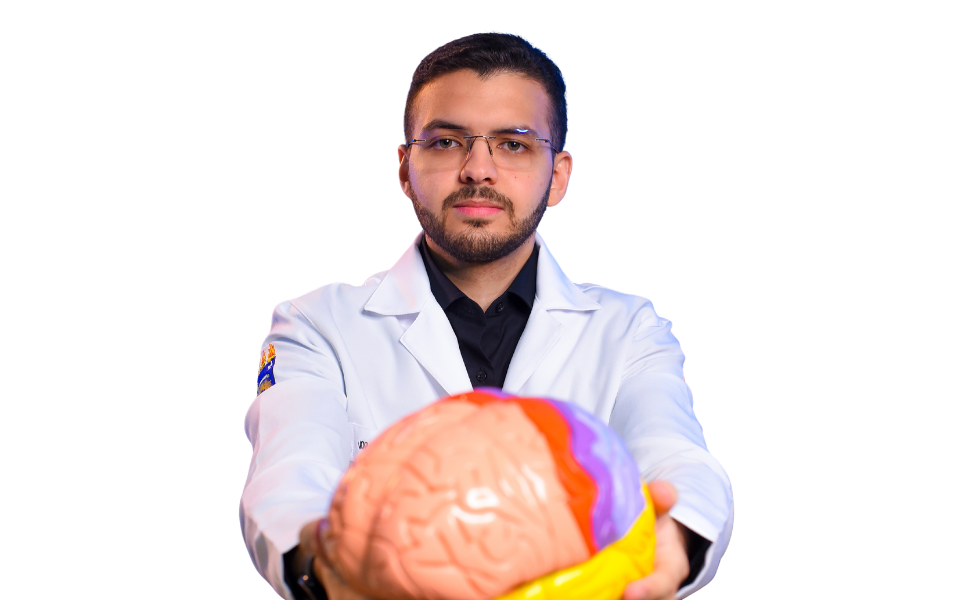 Academy Core: Anatomia Humana